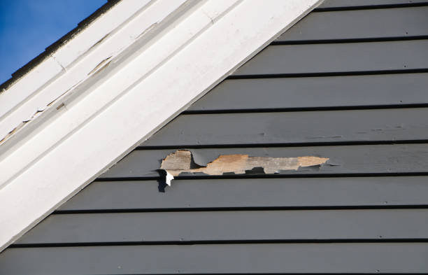 Best Storm Damage Siding Repair  in Hickman, NE